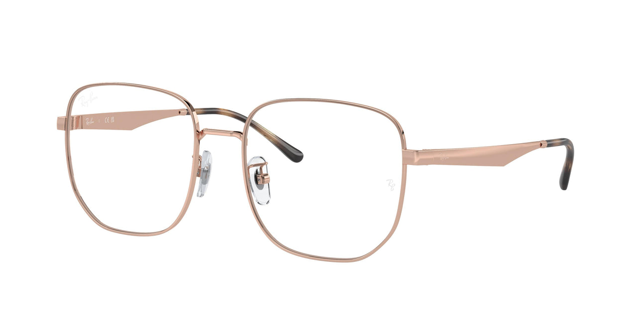 Ray-Ban 6503D Eyeglasses