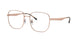 Ray-Ban 6503D Eyeglasses