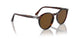 24/57 - Havana - Polar Brown