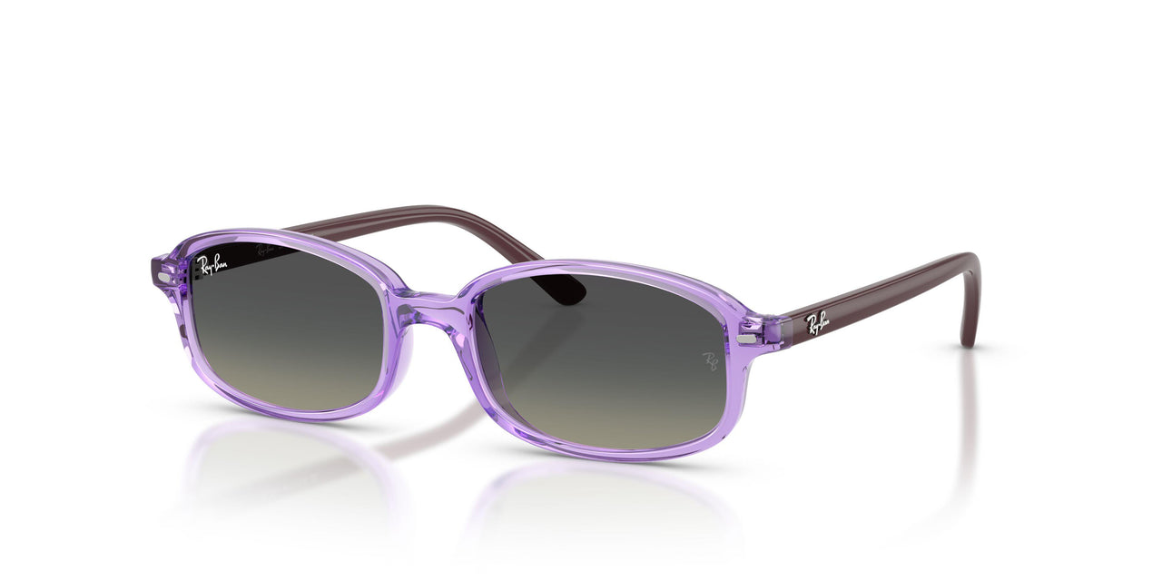 719911 - Violet - Gradient Grey