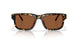 202002 - Tortoise - Copper