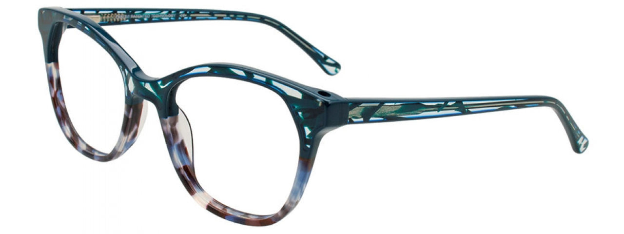60 - Teal & Blue Tortoise