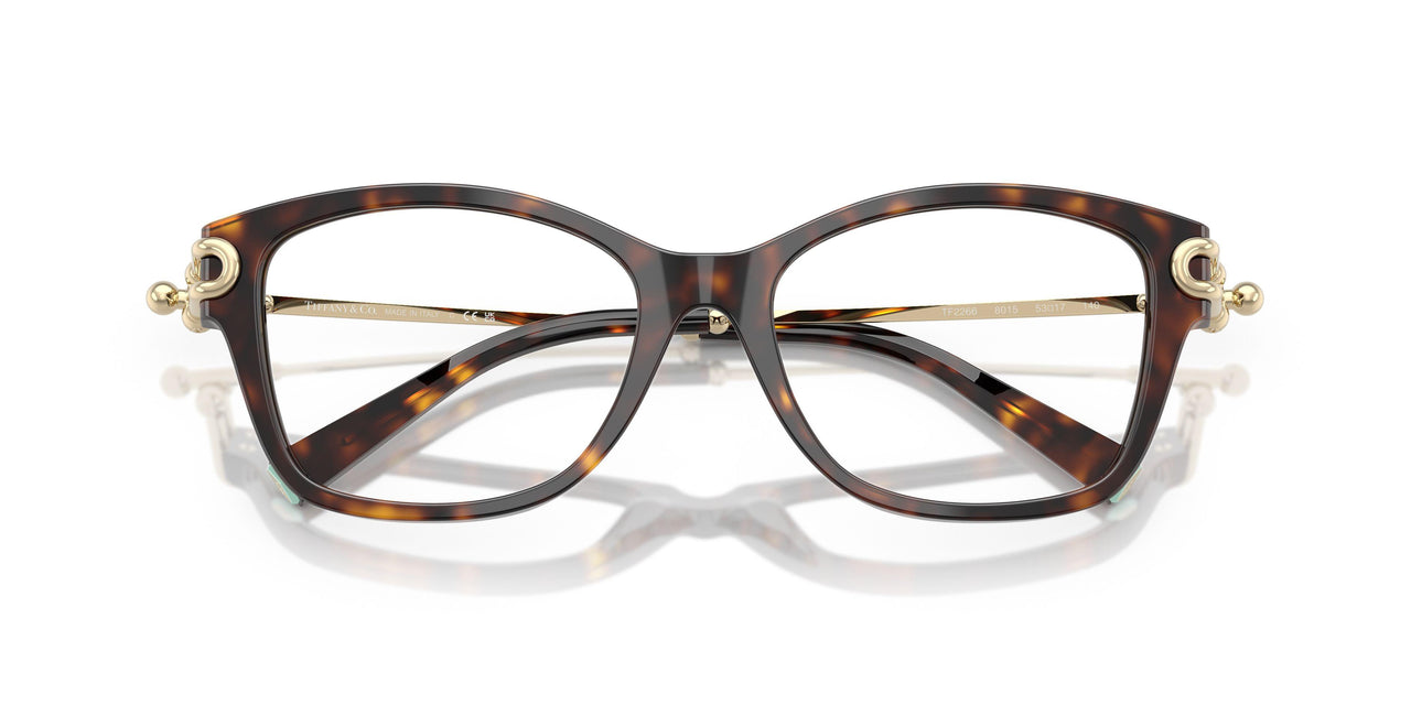 8015 - Tortoise