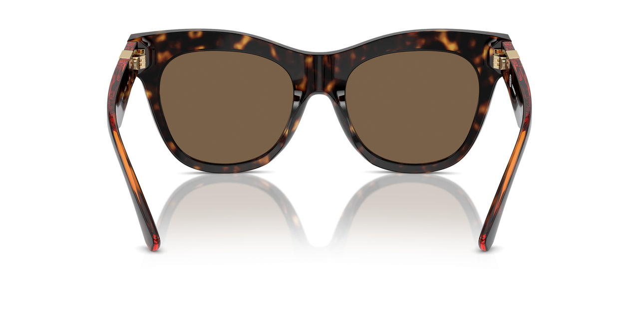 300273 - Brown - Dark Brown
