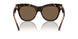 300273 - Brown - Dark Brown