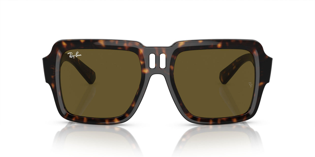 135973 - Tortoise - Dark Brown