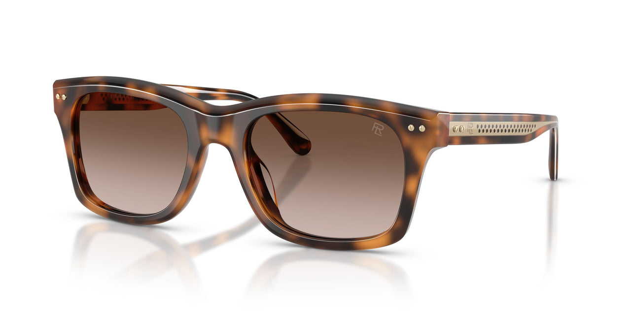 608913 - Tortoise - Gradient Brown