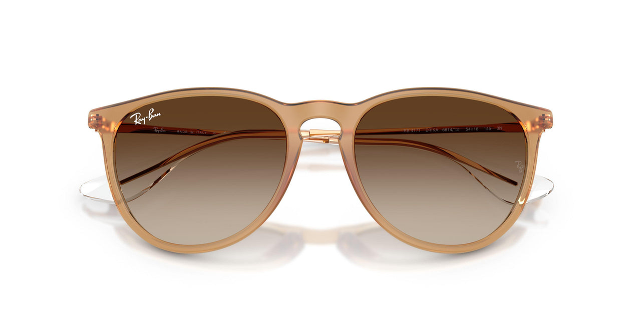 681413 - Brown - Gradient Brown