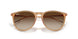 681413 - Brown - Gradient Brown