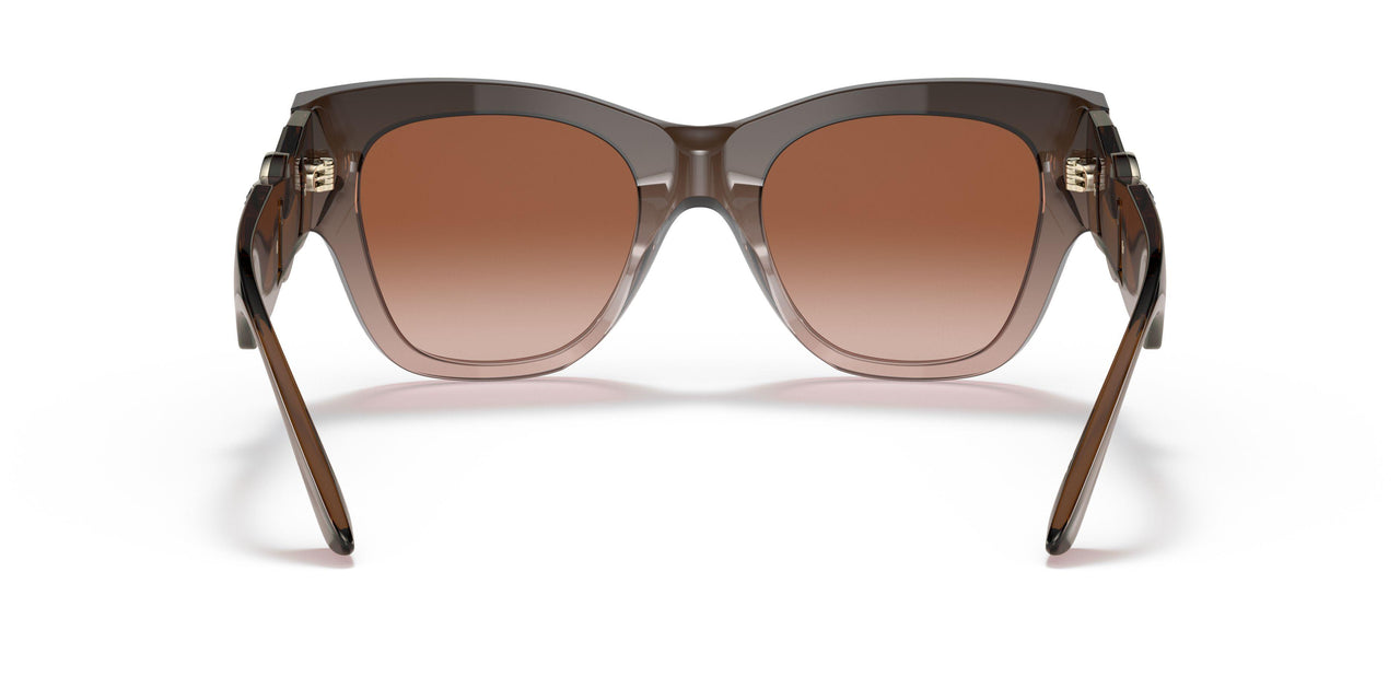 533213 - Brown - Brown Gradient