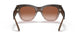 533213 - Brown - Brown Gradient