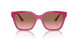 313514 - Purple - Pink Gradient Brown