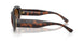 624113 - Tortoise - Gradient Brown