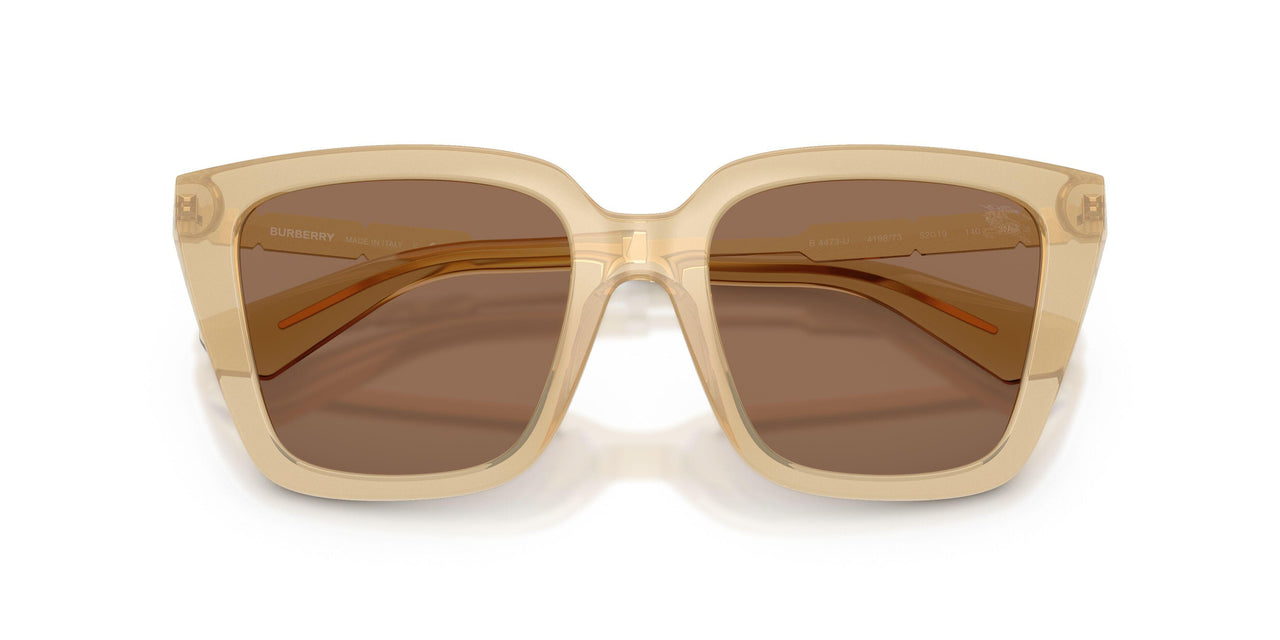 419873 - Yellow - Dark Brown