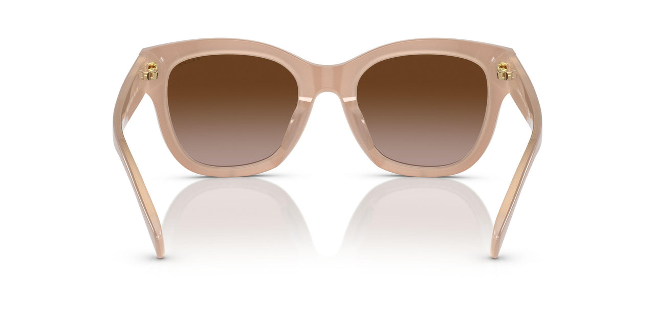 606313 - Beige - Gradient Brown