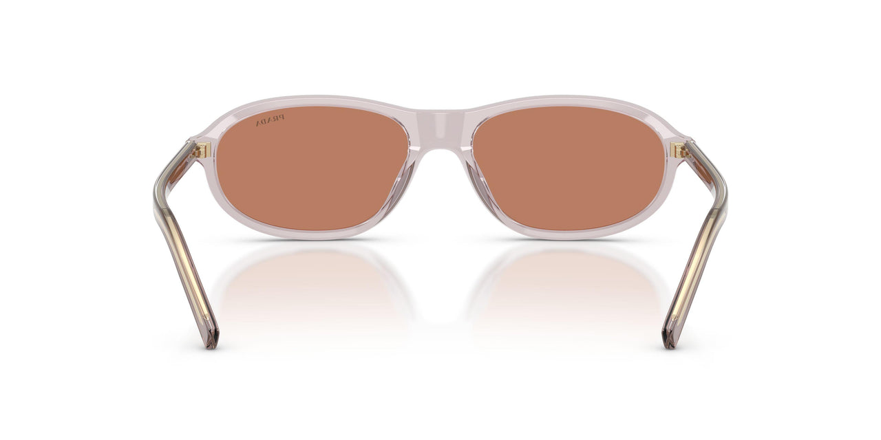 12W10I - Violet - Brown