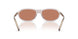 12W10I - Violet - Brown