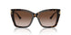 500213 - Tortoise - Gradient Brown