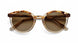 BEBR - Beige Brown