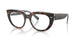 8401 - Tortoise - Clear