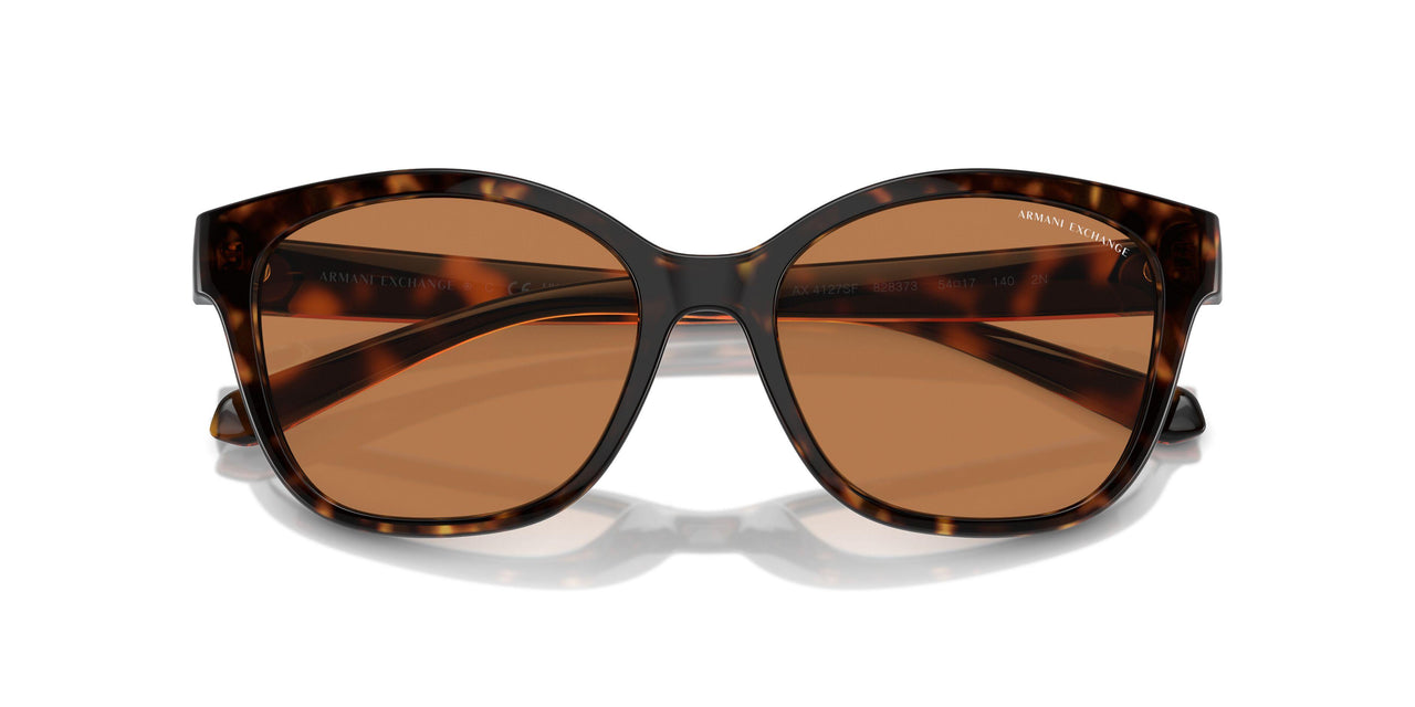 828373 - Tortoise - Brown