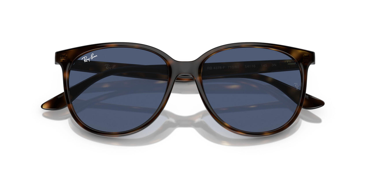 710/80 - Tortoise - Dark Blue