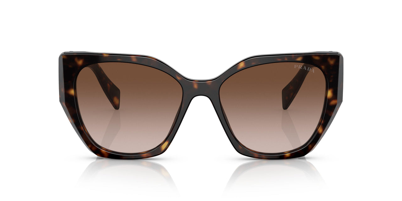 2AU6S1 - Havana - Brown Gradient