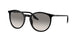 Ray-Ban 2204F Sunglasses