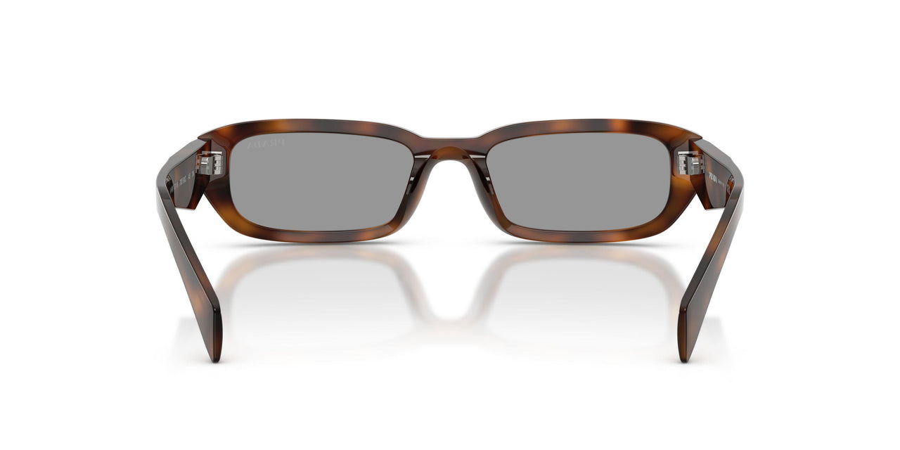 20D50Q - Havana - Grey