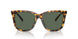 607871 - Tortoise - Dark Green