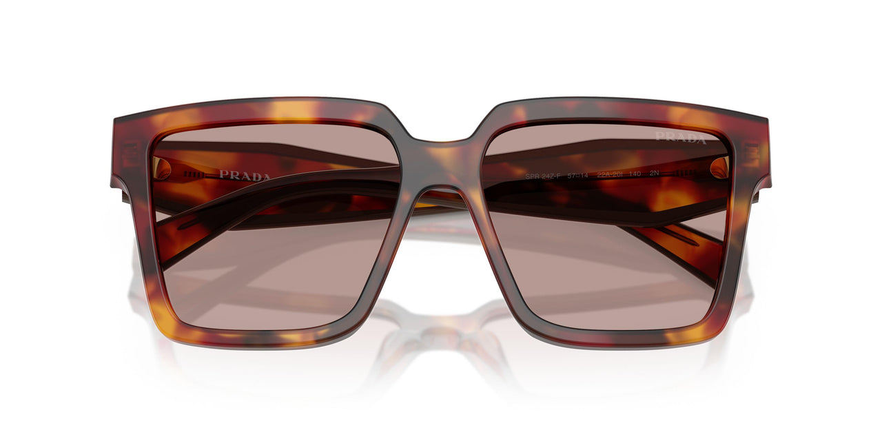 22A20I - Tortoise - Light Purple Brown