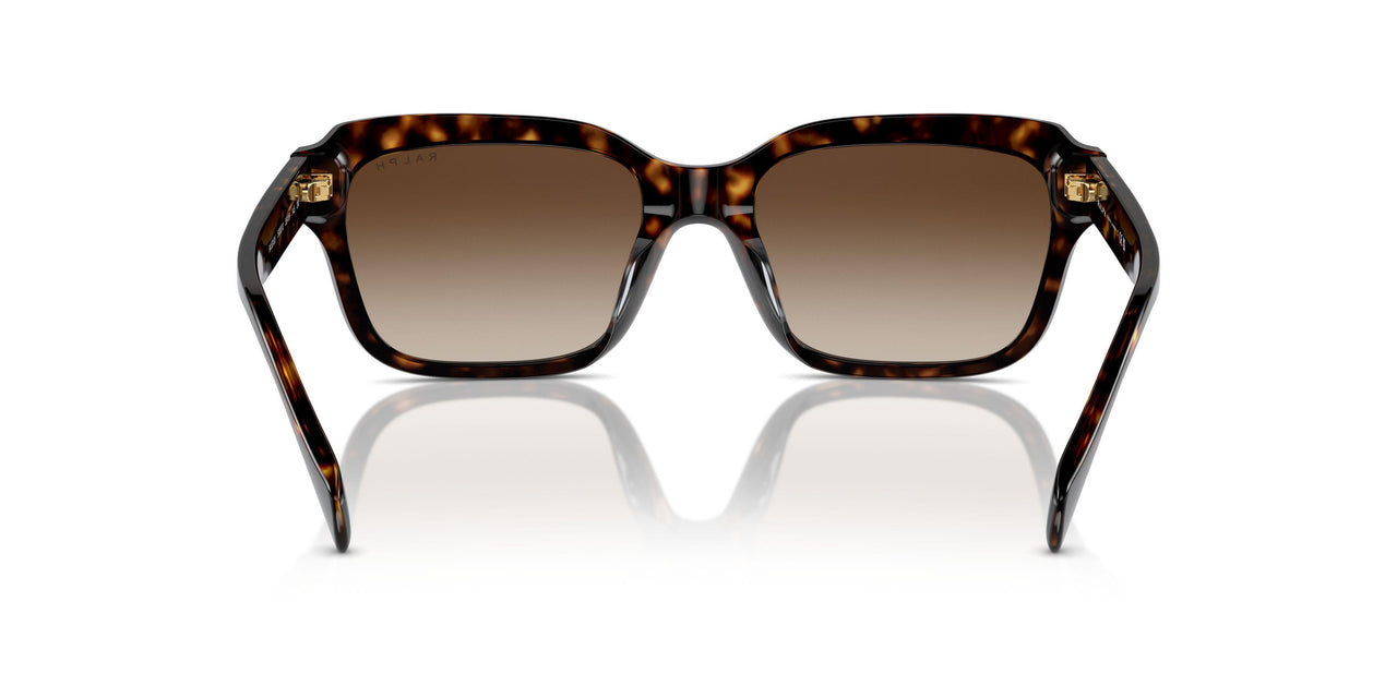 500313 - Brown - Gradient Brown