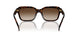 500313 - Brown - Gradient Brown