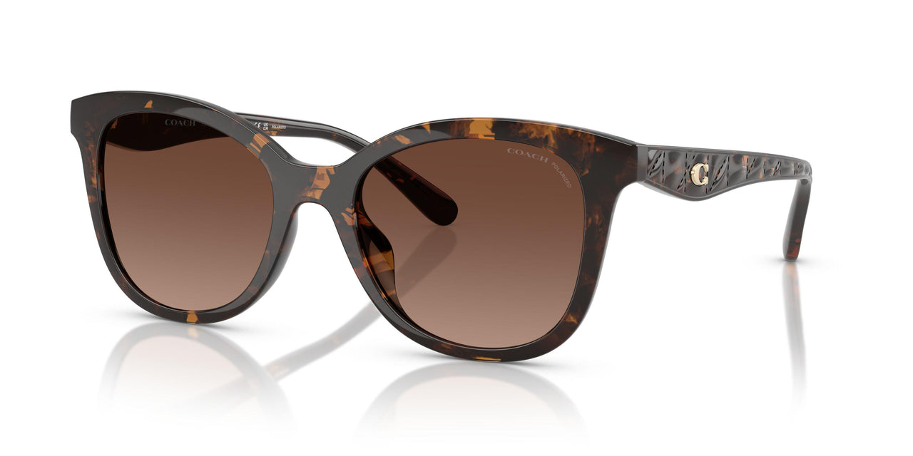 5120T5 - Tortoise - Brown Gradient Polar