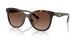 5120T5 - Tortoise - Brown Gradient Polar