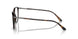 5026 - Tortoise