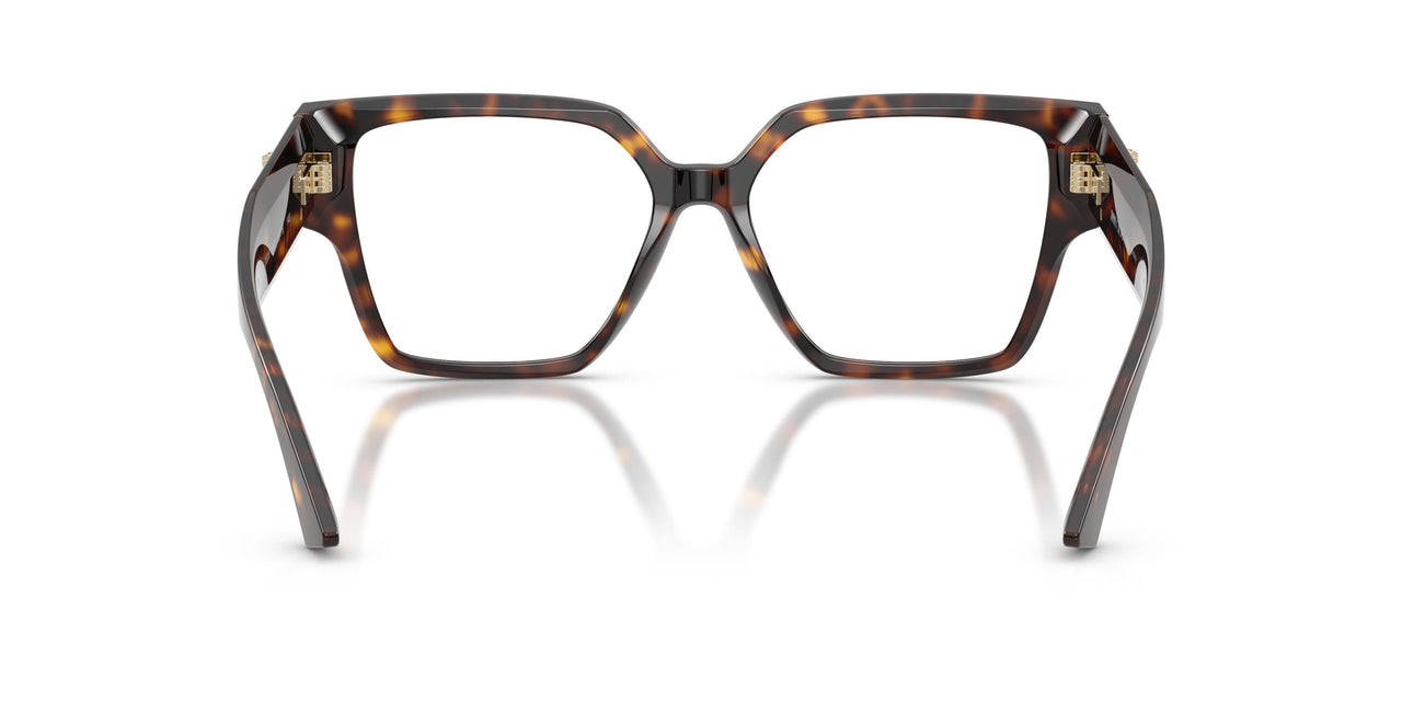 5002 - Tortoise