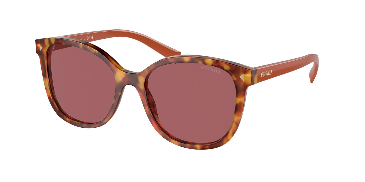 4BW08S - Tortoise - Dark Violet