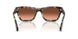 1071A5 - Tortoise - Pink Gradient Brown