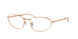 Ray-Ban 3734V Eyeglasses