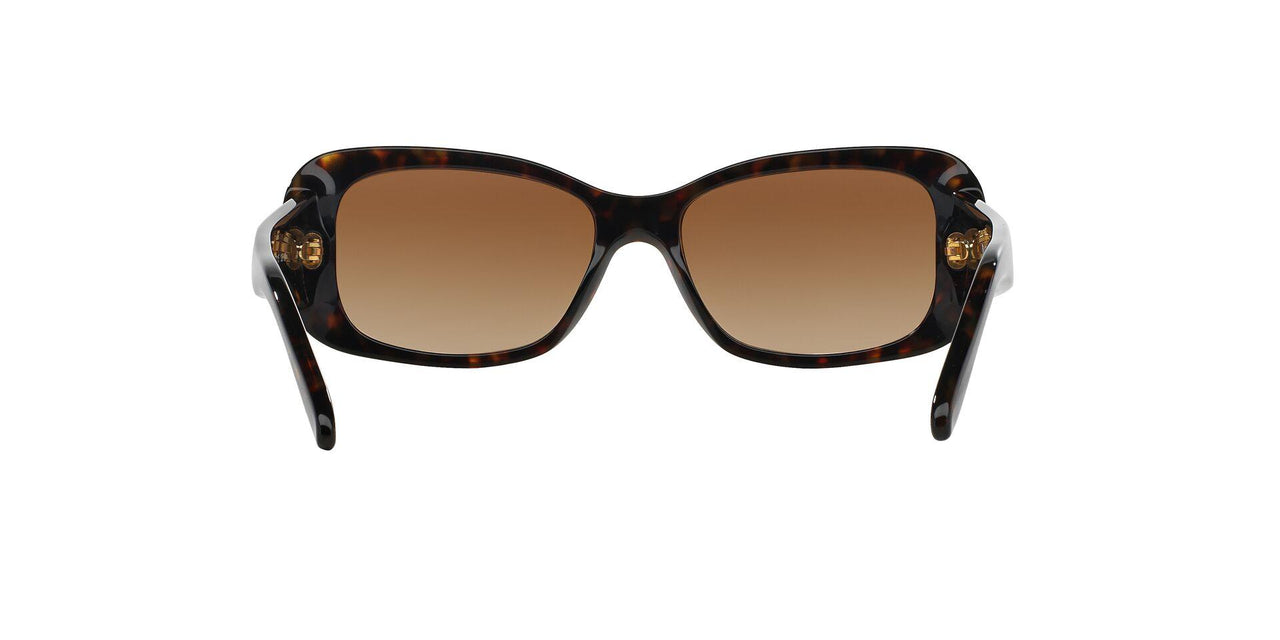 W65613 - Havana - Brown Gradient