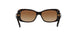 W65613 - Havana - Brown Gradient