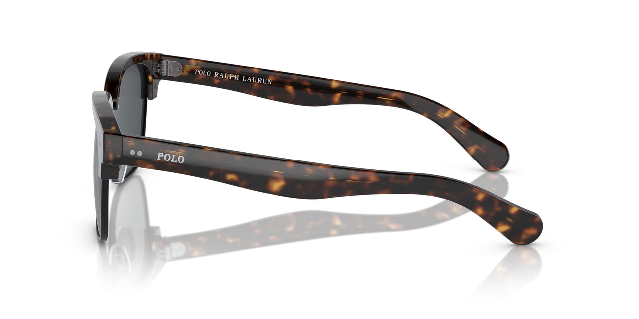 500387 - Brown - Grey