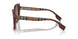 405413 - Brown - Pink Gradient Dark Brown