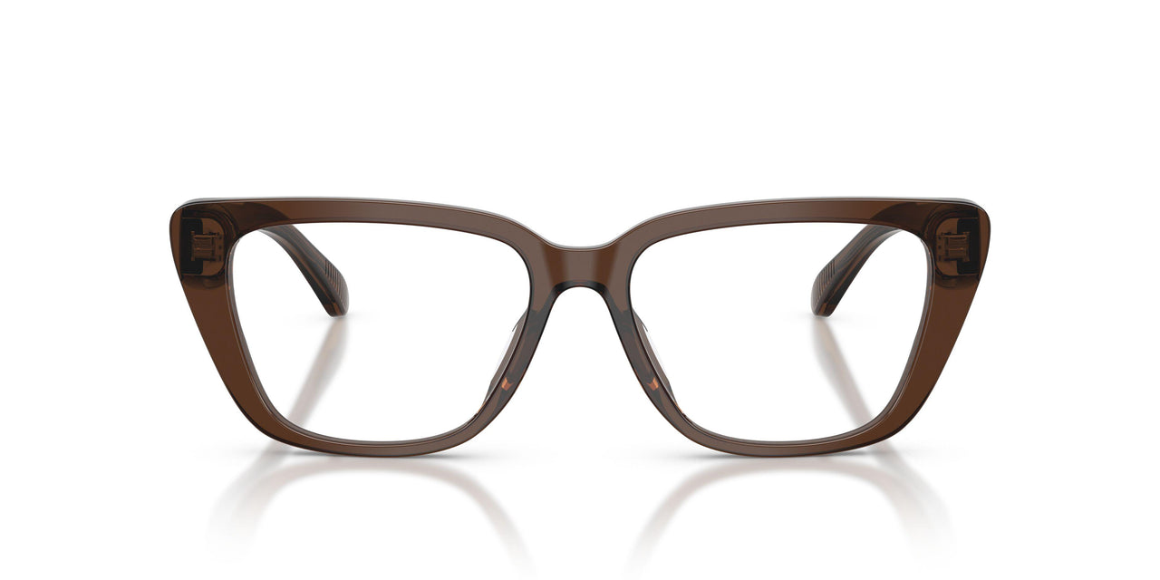 6251 - Brown