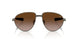 100213 - Grey - Gradient Brown