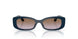 324068 - Blue - Violet Gradient Brown