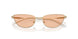 301393 - Gold - Brown