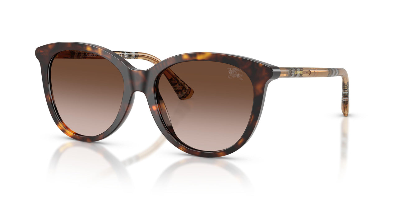 421613 - Brown - Brown Gradient