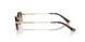 300613 - Gold - Pink Gradient Brown